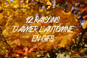 12 raisons d'aimer l'automne